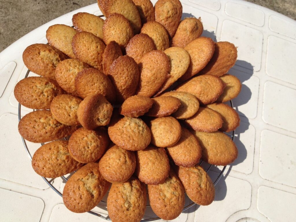 Madeleines à base de farine de lentilles roses